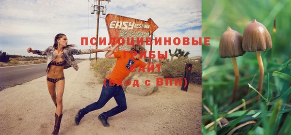 таблы Семилуки
