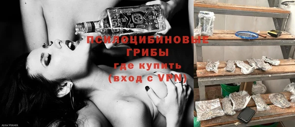 ECSTASY Дегтярск