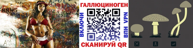 Купить  Лабинск  Галлюциногенные грибы мицелий 